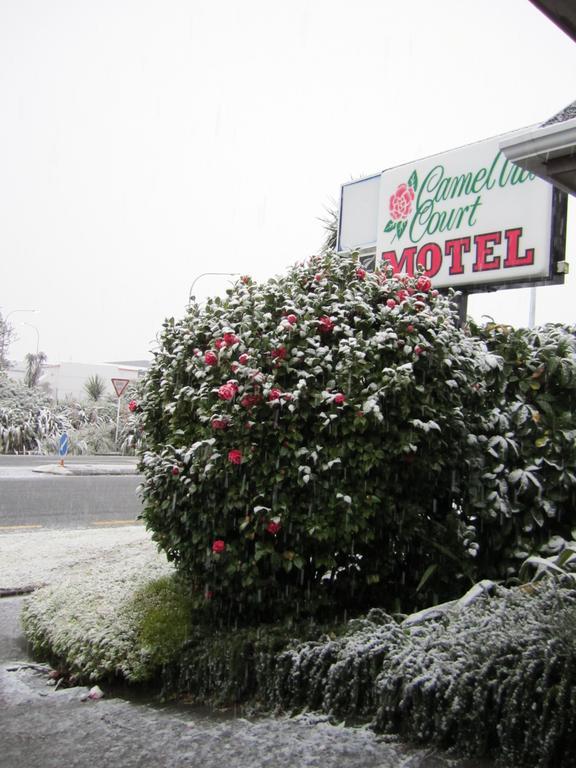 Camellia Court Motel Lower Hutt Ngoại thất bức ảnh
